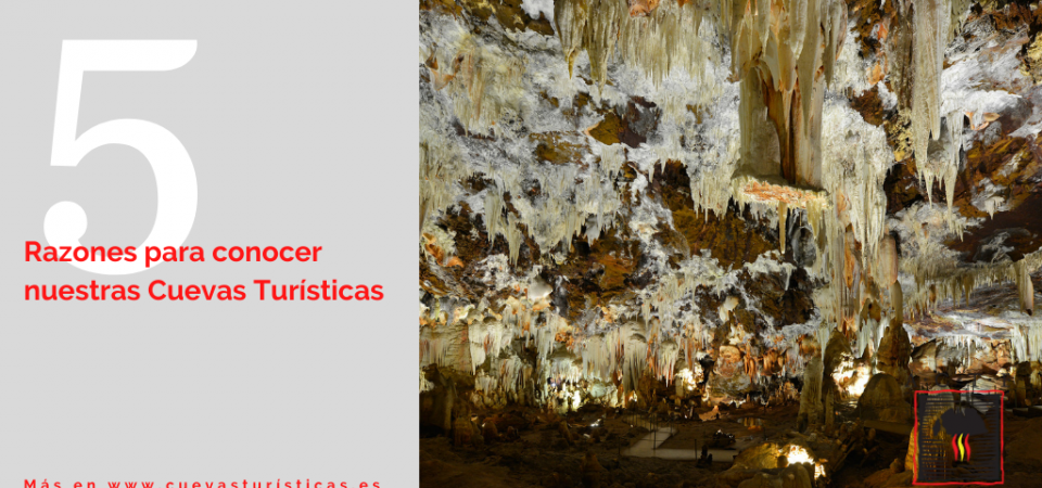 Cinco razones para visitar nuestras cuevas turísticas de la Asociación de Cuevas Turísticas Españolas